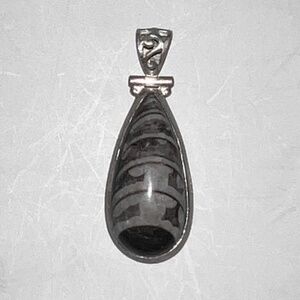 Orthoseras Black Teardrop Fossil Pendant